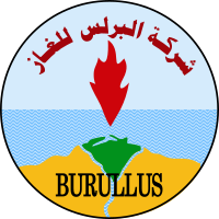 Burullus Gas Company[BGC] Logo